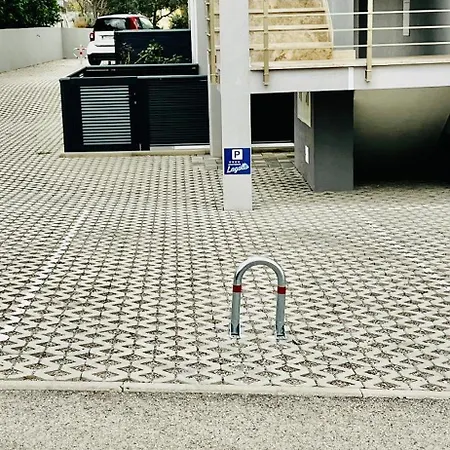 With Swimming Pool Lagotto