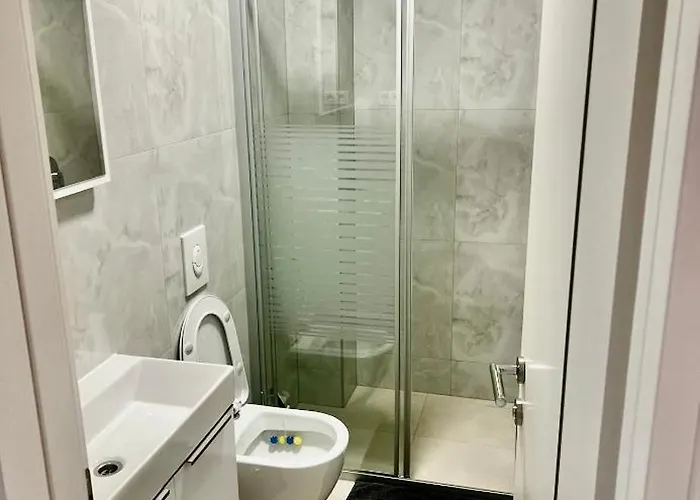 With Swimming Pool Lagotto 트로기르